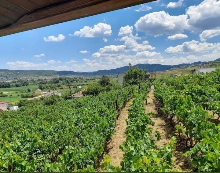 Vila Shehi Guesthouse And Winery Mucaj 외부 사진